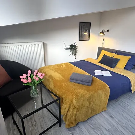 Διαμέρισμα Grodzka Loft Krasków